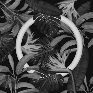BLACK AND WHITE RING IN THE FOREST