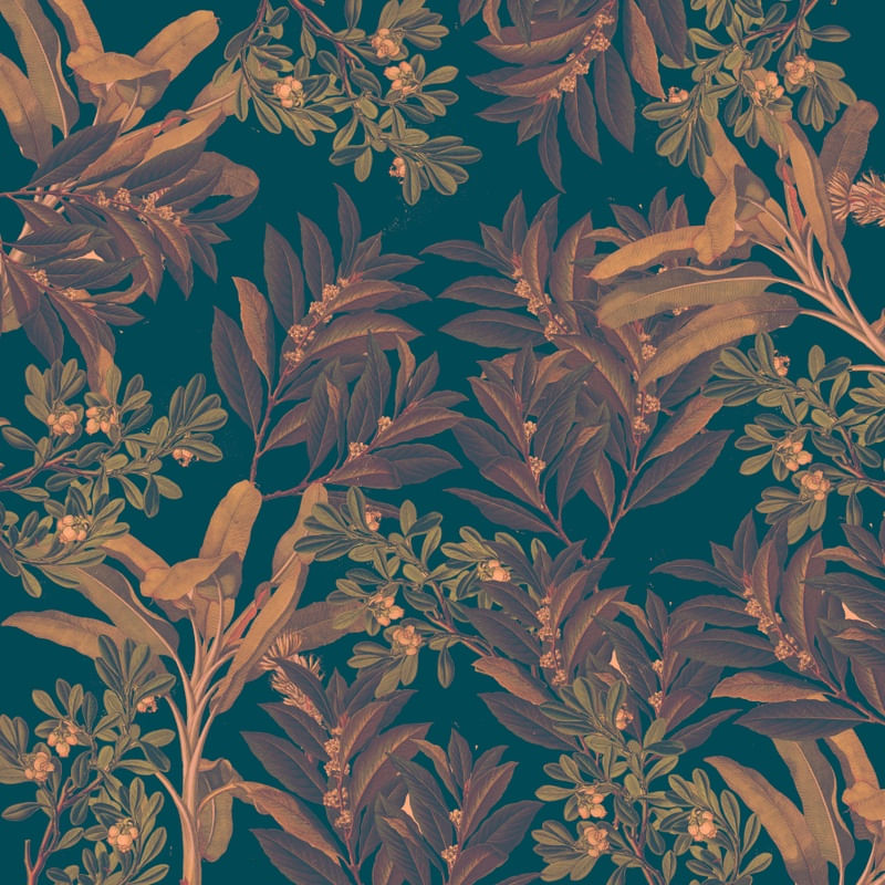 BLUE FOREST 01