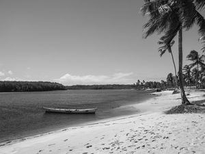 MANGUE SECO 4