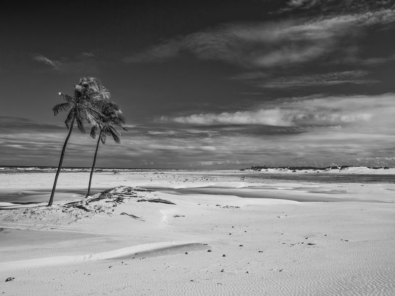 MANGUE SECO 11