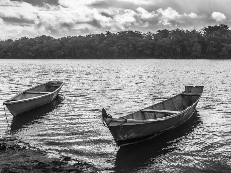 MANGUE SECO 15