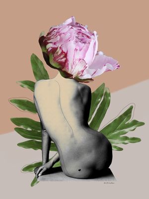 PEONY FLOWER