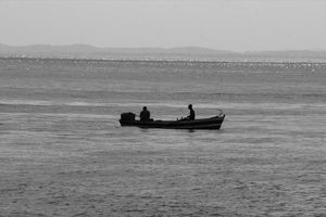 SOB O MAR 03