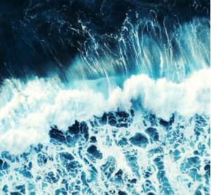WILD SEA