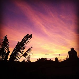 FINAL DE TARDE ROXO