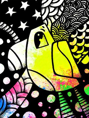 BIRD 1 - CORREÇÃO