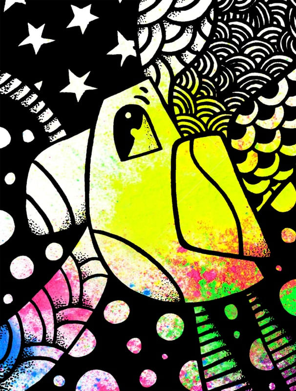 BIRD 1 - CORREÇÃO