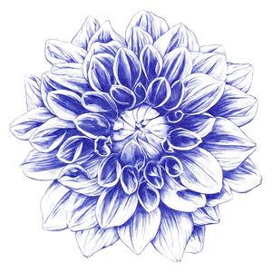 BALLPOINT BLUE DAHLIA