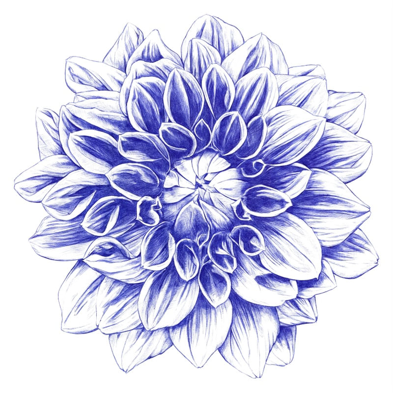BALLPOINT BLUE DAHLIA