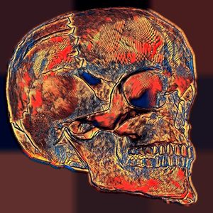 COLORED SKETCH SKULL