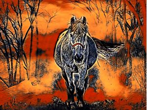 HORSE MIRAGE