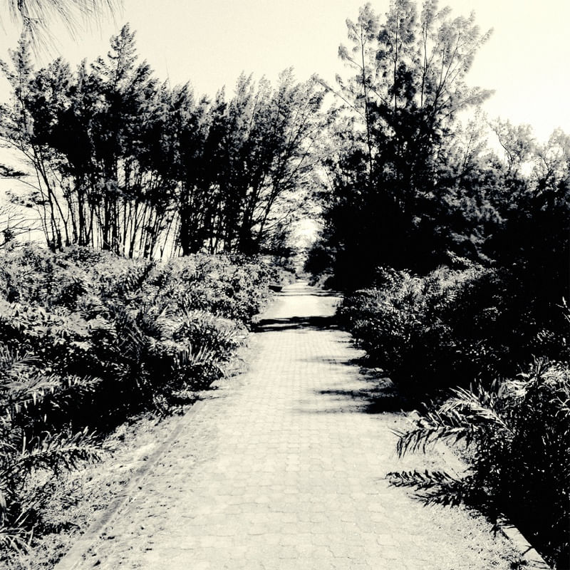 CAMINHO DE FUGA
