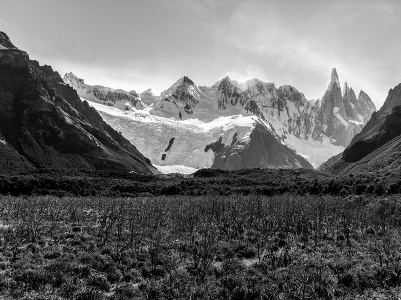 CERRO FITZ ROY IV
