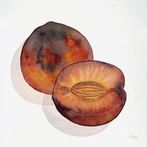 AMEIXA