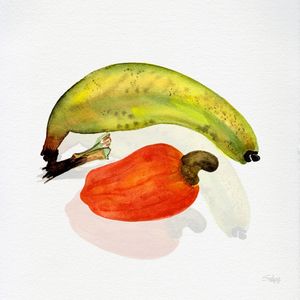 BANANA CAJU
