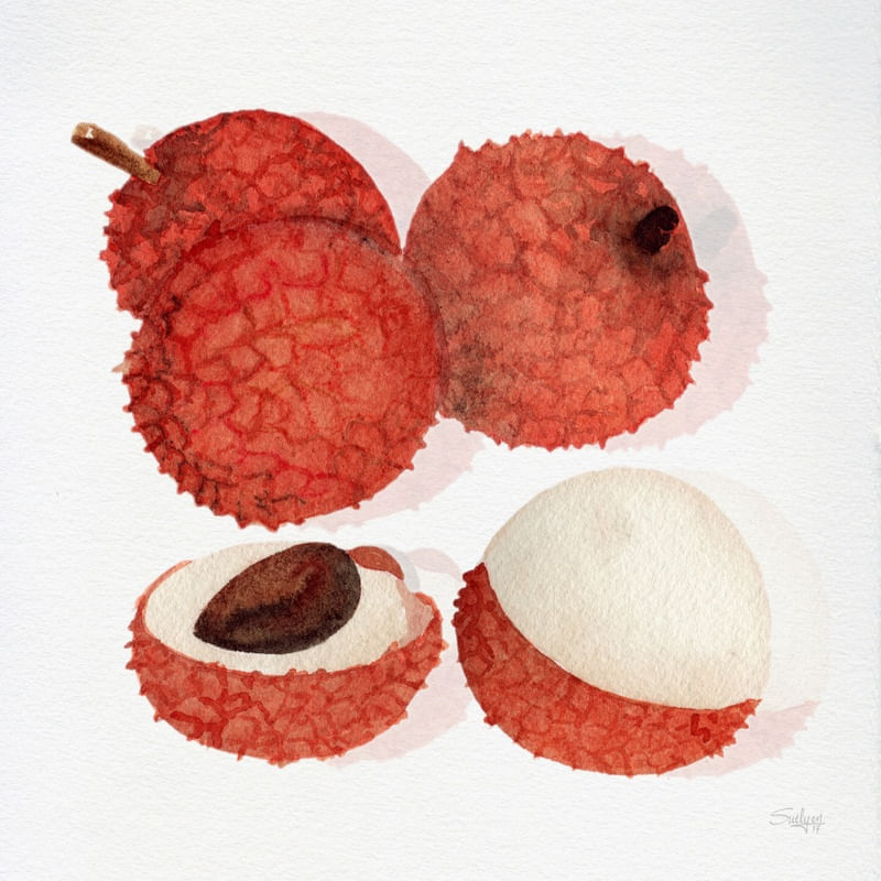 LICHIA
