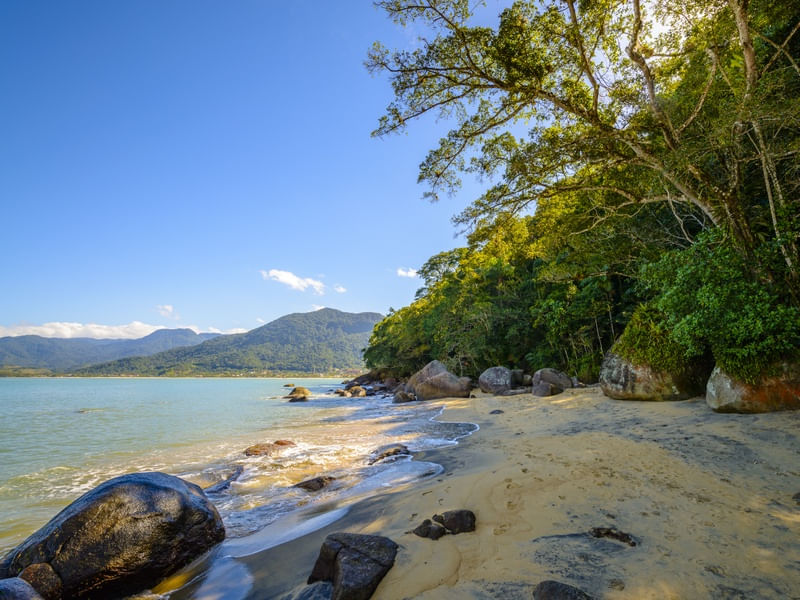PRAIA DESERTA 1