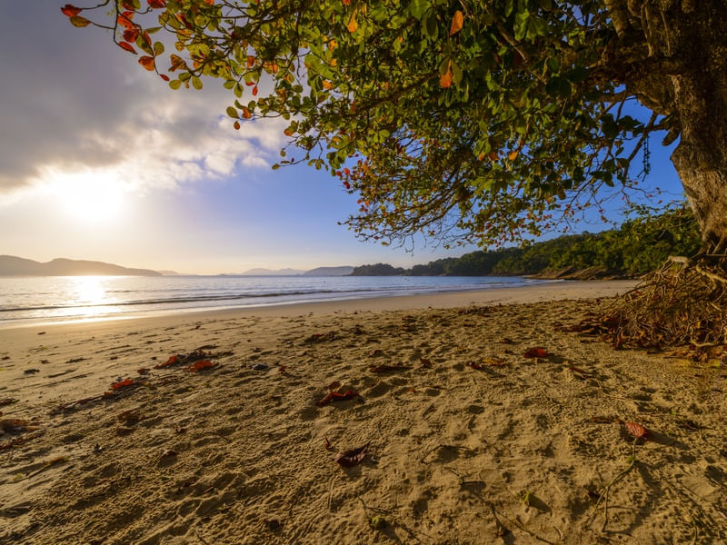 PRAIA DESERTA 2