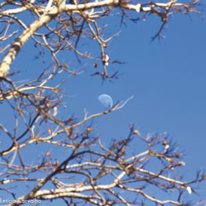 LUA DE DIA