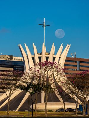 IPÊ, CATEDRAL E LUA CHEIA