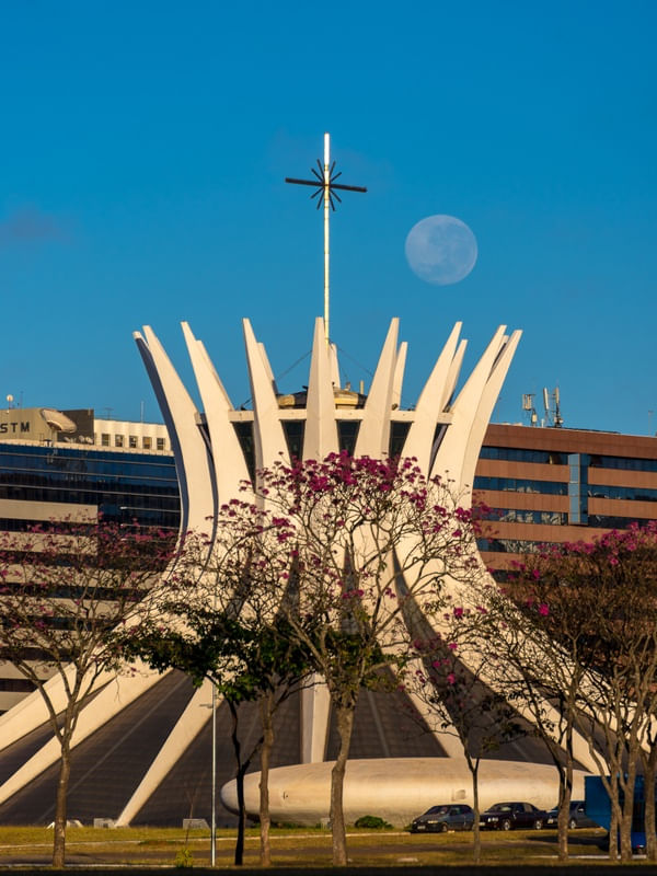 IPÊ, CATEDRAL E LUA CHEIA