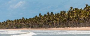 9832 PRAIA BAIANA
