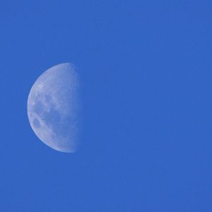 LUA 44