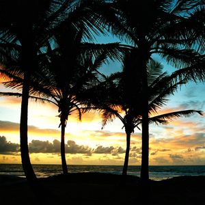 AMANHECER NO MAR 5