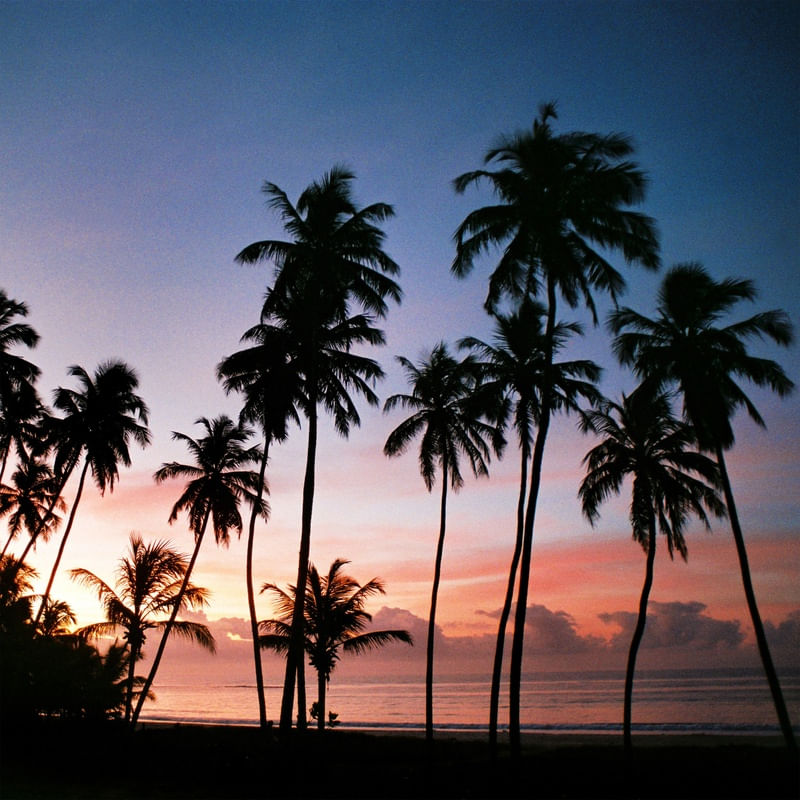 PRAIA 56