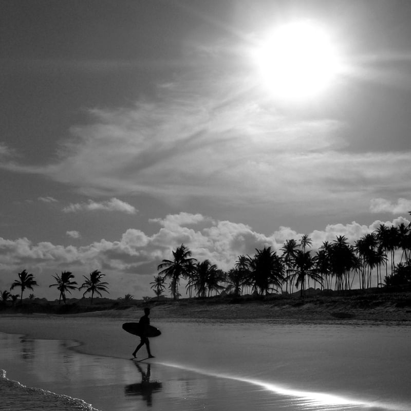 O SURFISTA DO ENTARDECER