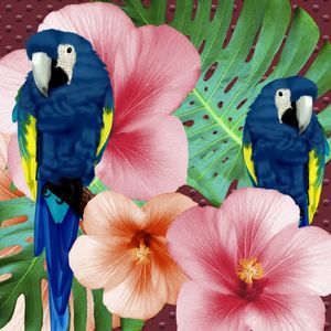 BIRDS COLOR
