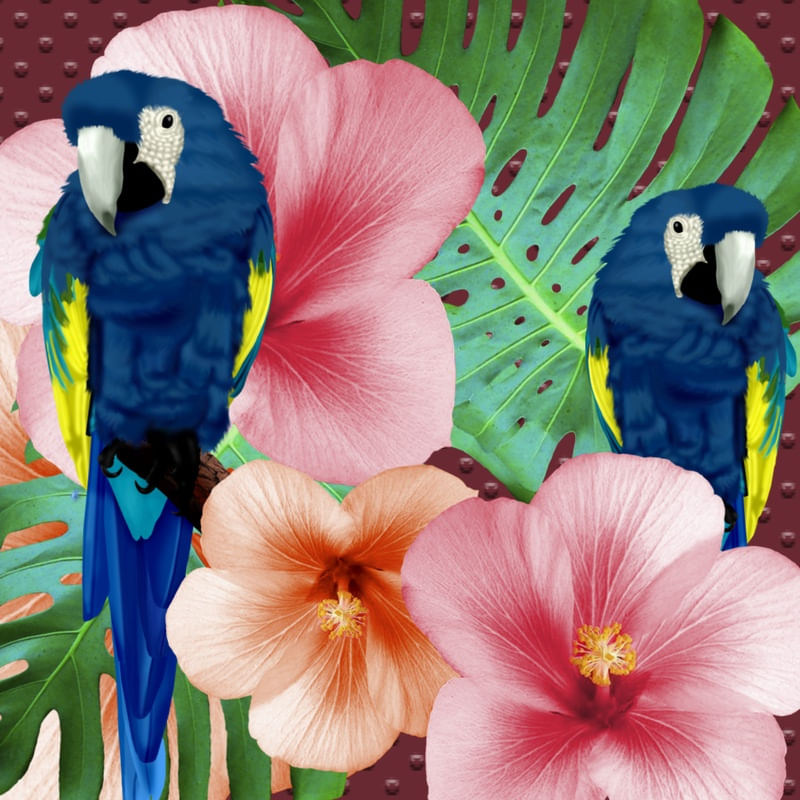 BIRDS COLOR