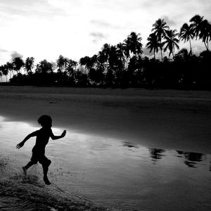 O MENINO E O MAR 2