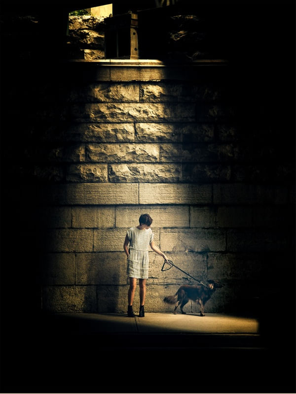 NIGHT DOGWALK