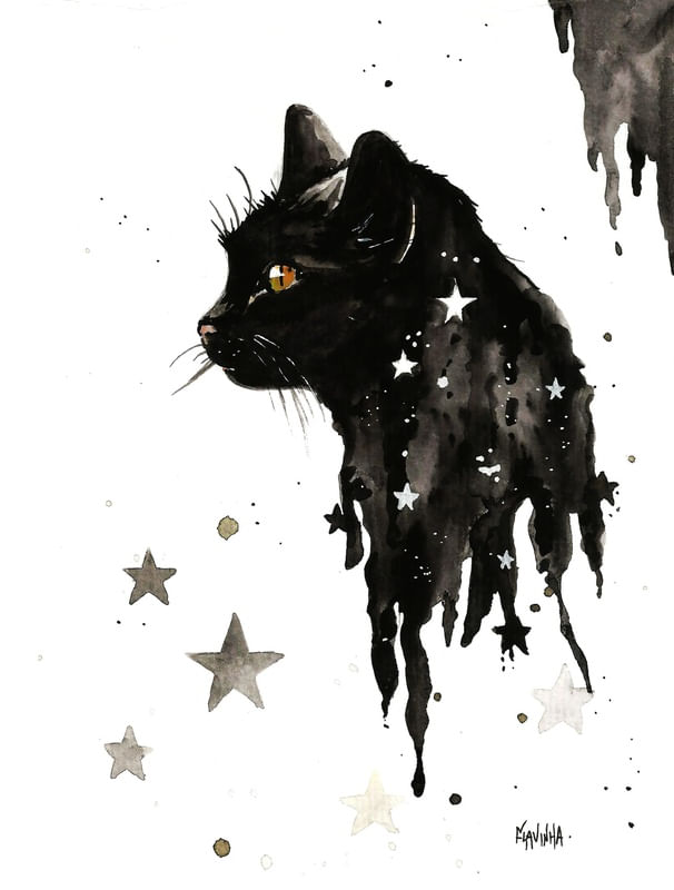 GATO, NOITE