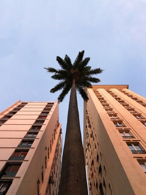 VIDA ENTRE PRÉDIOS
