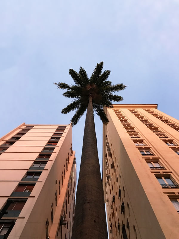 VIDA ENTRE PRÉDIOS