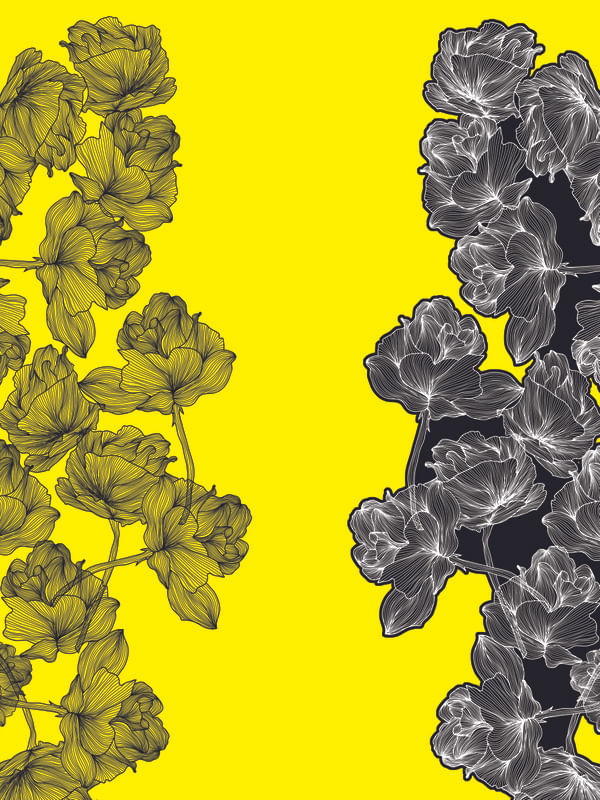 RISK FLOWER