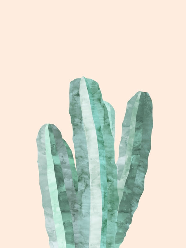 AGUARELA DE CACTUS IV