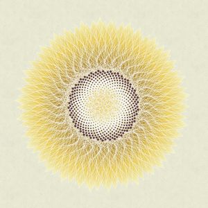 LIKE A SUNFLOWER