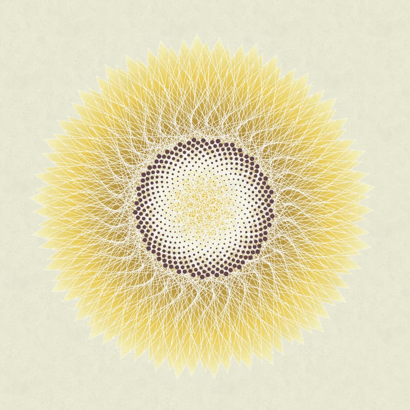 LIKE A SUNFLOWER