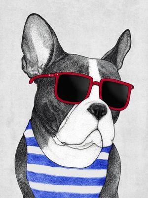 FRENCHIE SUMMER STYLE