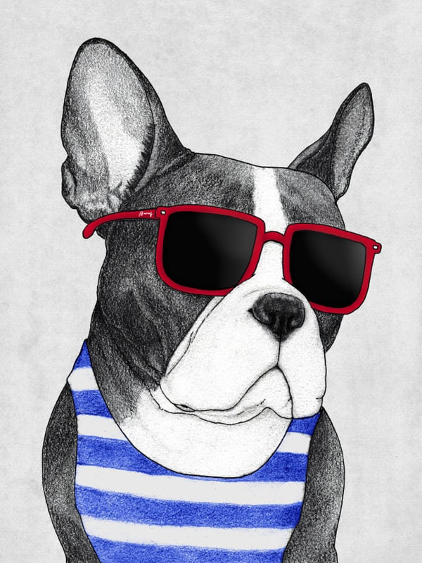 FRENCHIE SUMMER STYLE