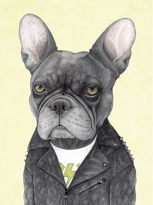 HARD ROCK FRENCH BULLDOG