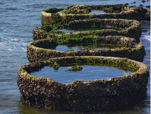 CÍRCULOS DA BAÍA DE GUANABARA