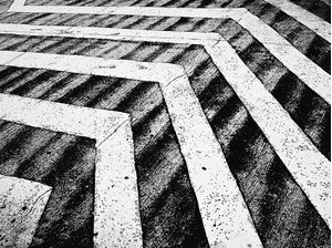 ZEBRA RUA