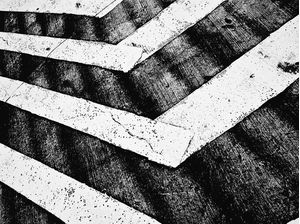 ZEBRA RUA 2