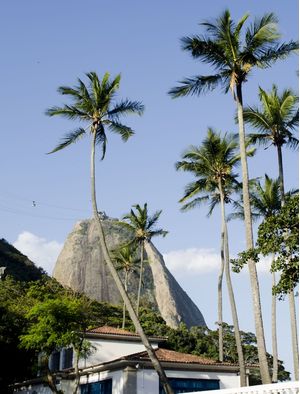 SERENIDADE II