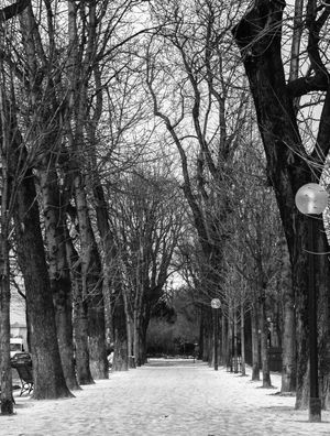 PARIS SEM COR