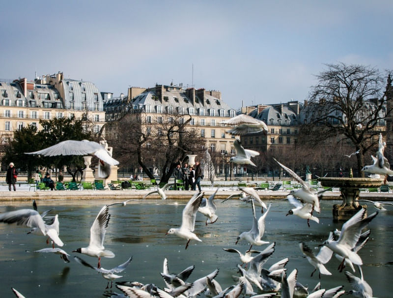 REVOADA PARISIENSE
